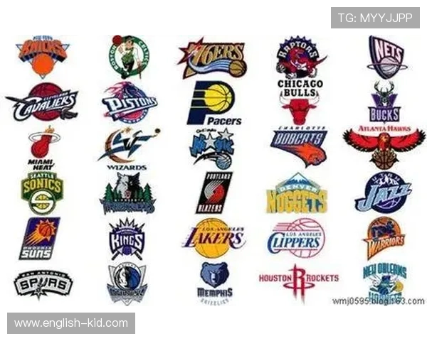 svw代表哪支德甲球队？缩写含义详解